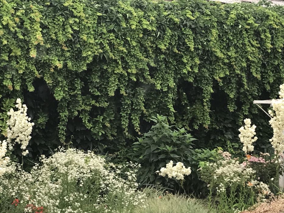 Срочно!6 сотих Уй сотилади.