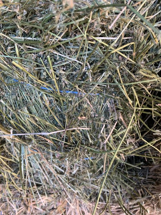 Vand baloti: lucerla, fan, otava si paie