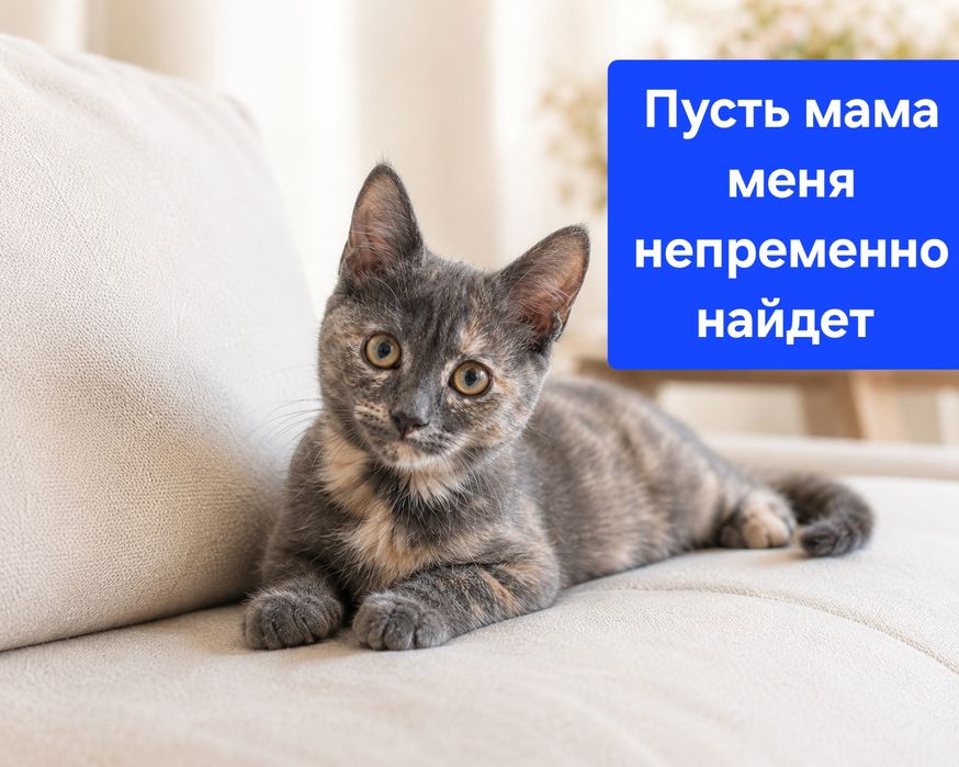 Маленькая  принцесса Лея .2 ,5 месяца