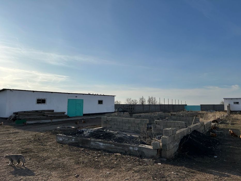 Фазенда в жамбыльской области
