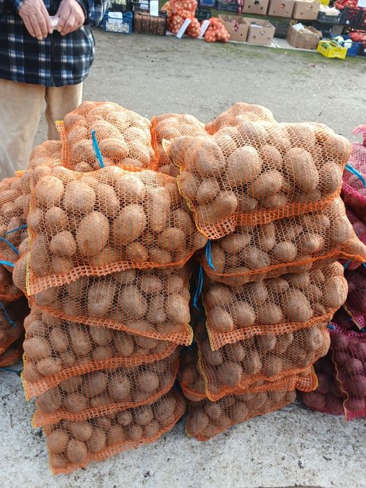 Cartofi de consum și sămânță