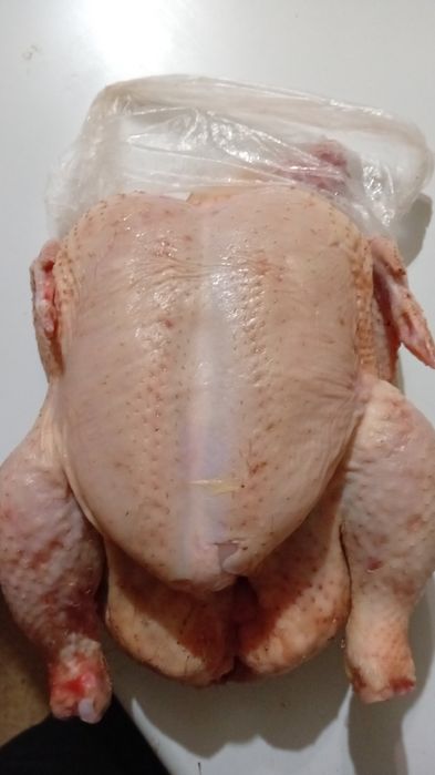 Продам мясо домашнего бролера