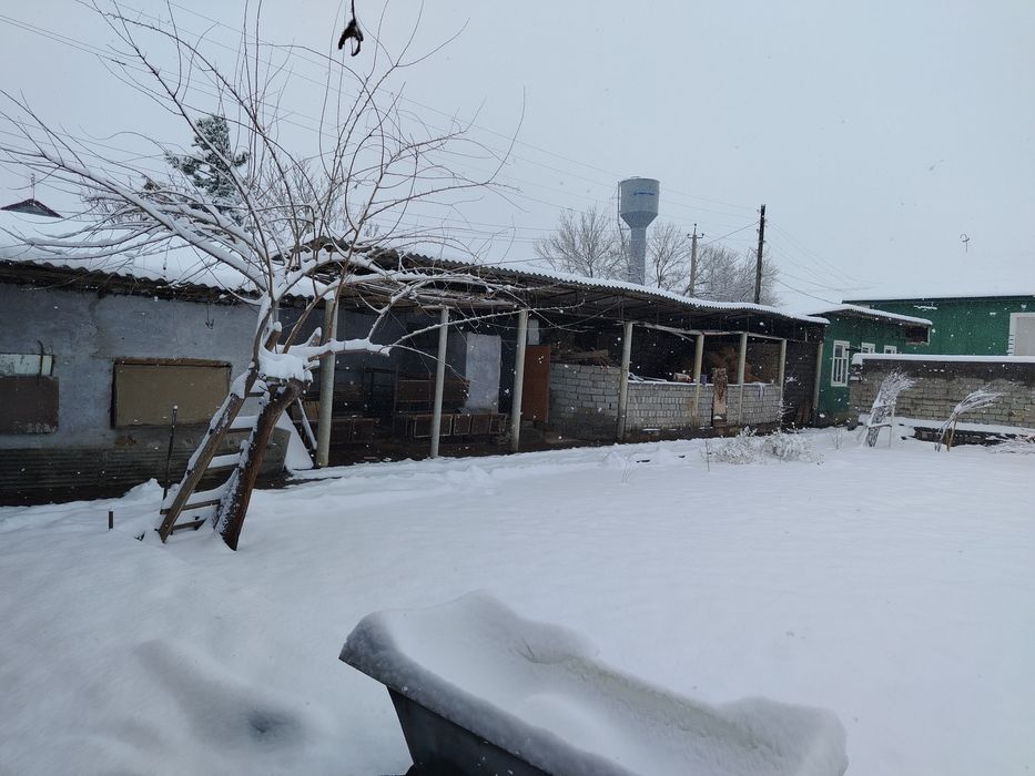 Срочно ферма участка сотилади