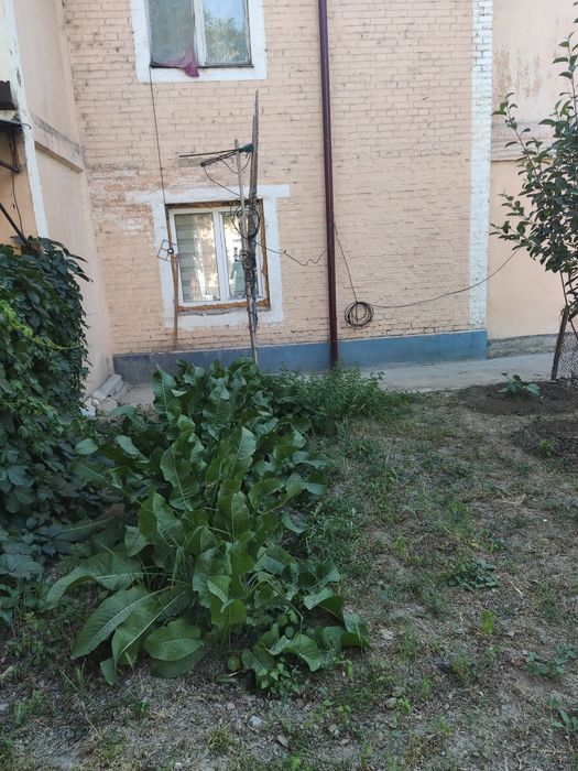 ПШКА Квартира 1 комнатная сделанная двух.