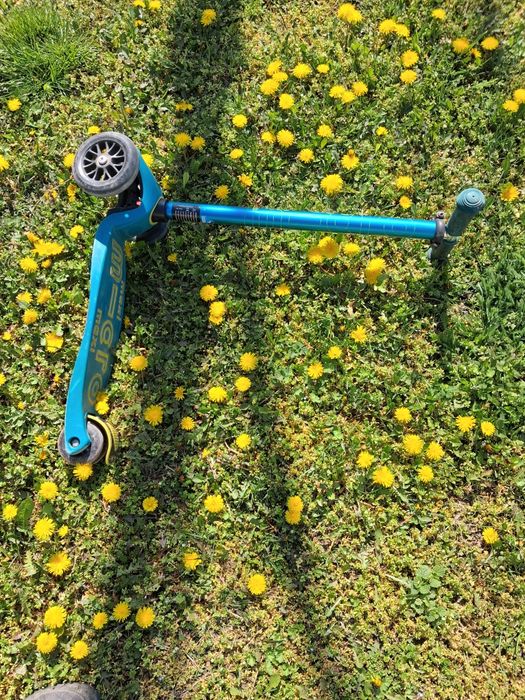 Trotineta de vânzare