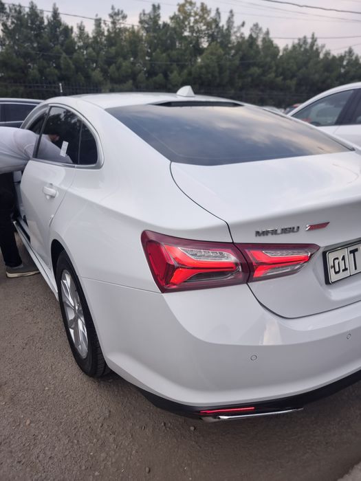 2020й Малибу 15 пример