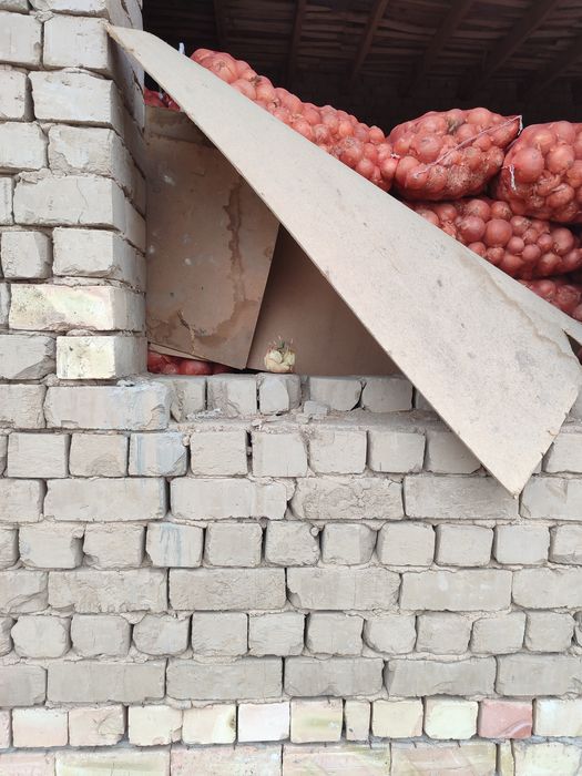Piyoz sotiladi optim narhta. Manzil toshkent