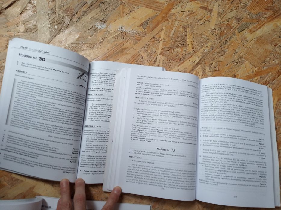 Manuale Bacalaureat Romana Istorie