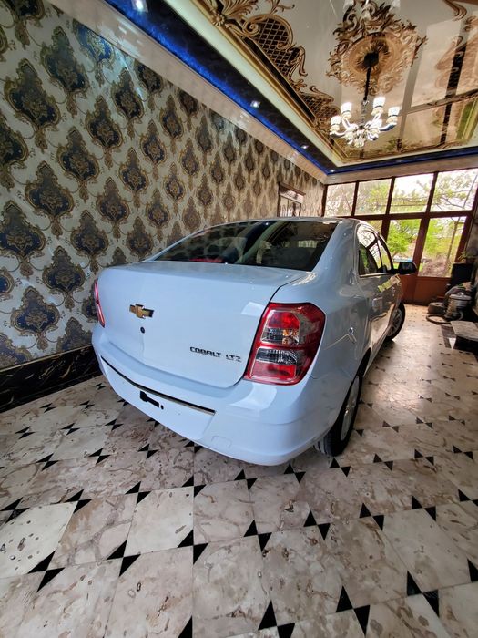 Коблт Автомат 2023 родной янги