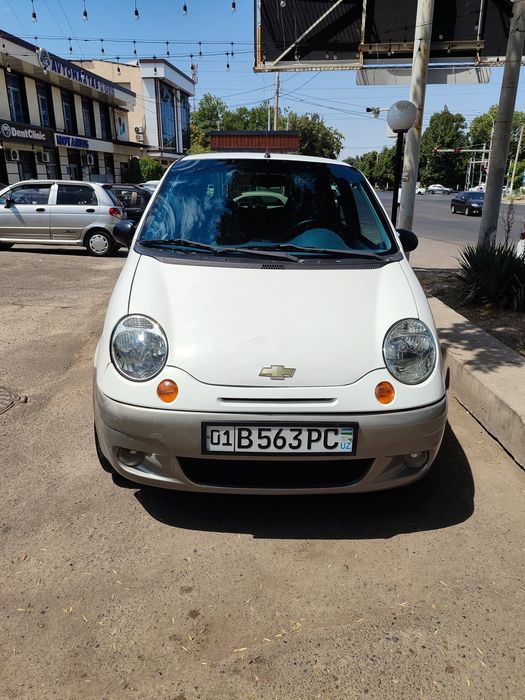 Matiz prastoy gen bor