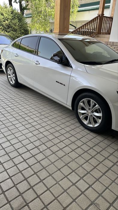 Malibu 2 XL 2024 й