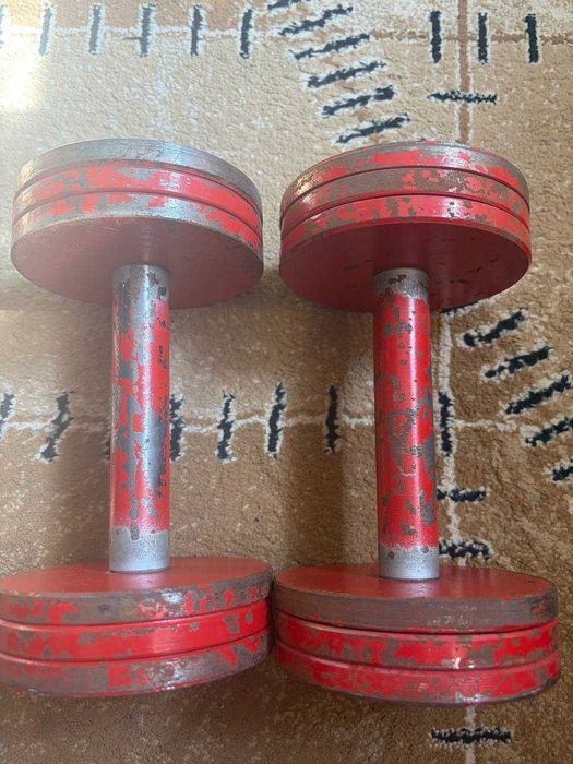 Гантели - по - 6 кг - каждая .