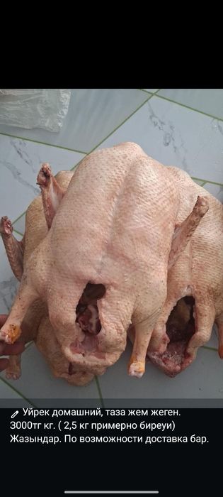 Продам тушки домашних уток