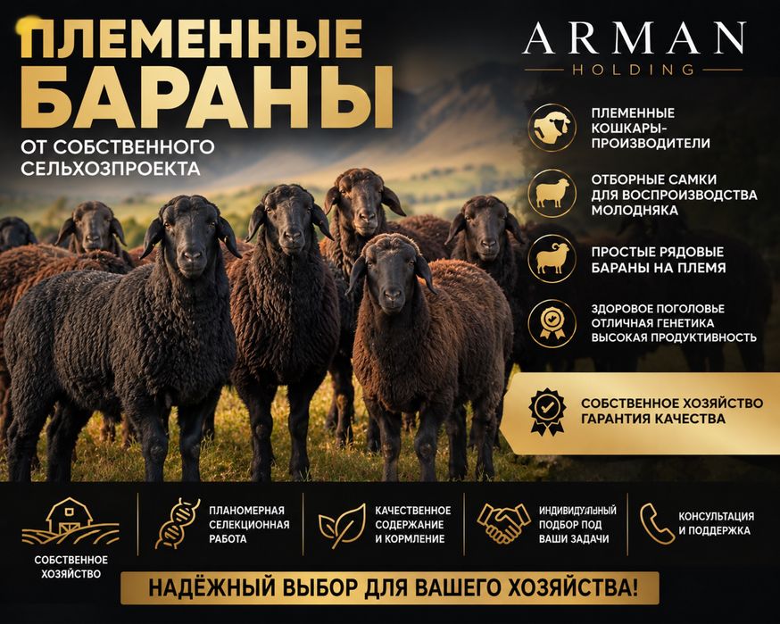 Бараны | Овцы | Ягнята | Токтылар | Козылар | Койлар