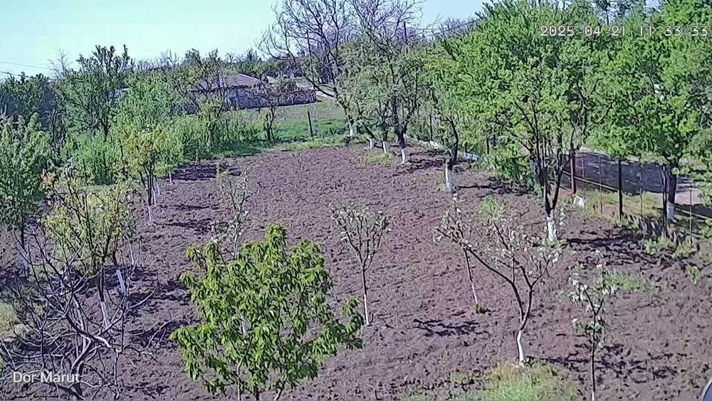 Casa + teren intravilan Sat Infratirea, Com Dor Marunt, Jud Calarasi