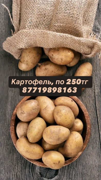 Срочно продам картошку