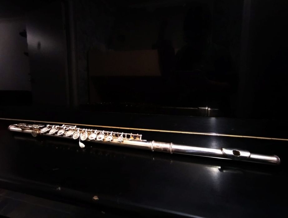 Профессиональная флейта