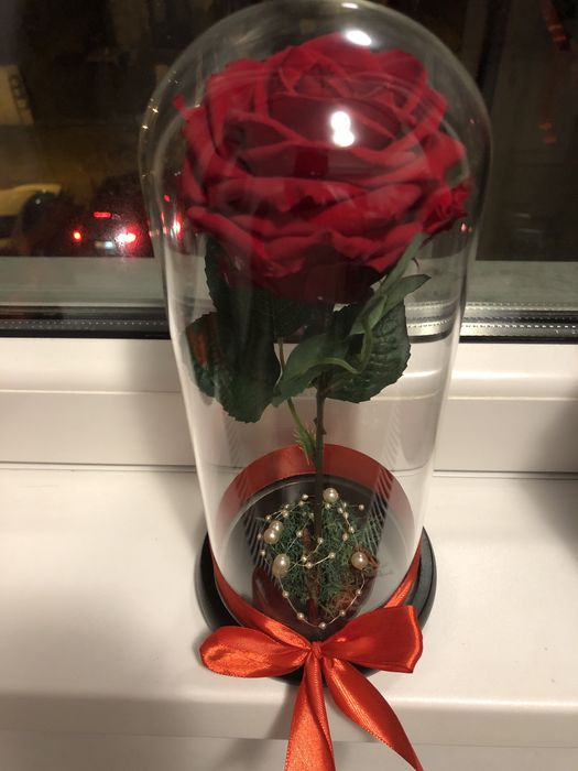 Trandafir criogenat rosu  in cupola