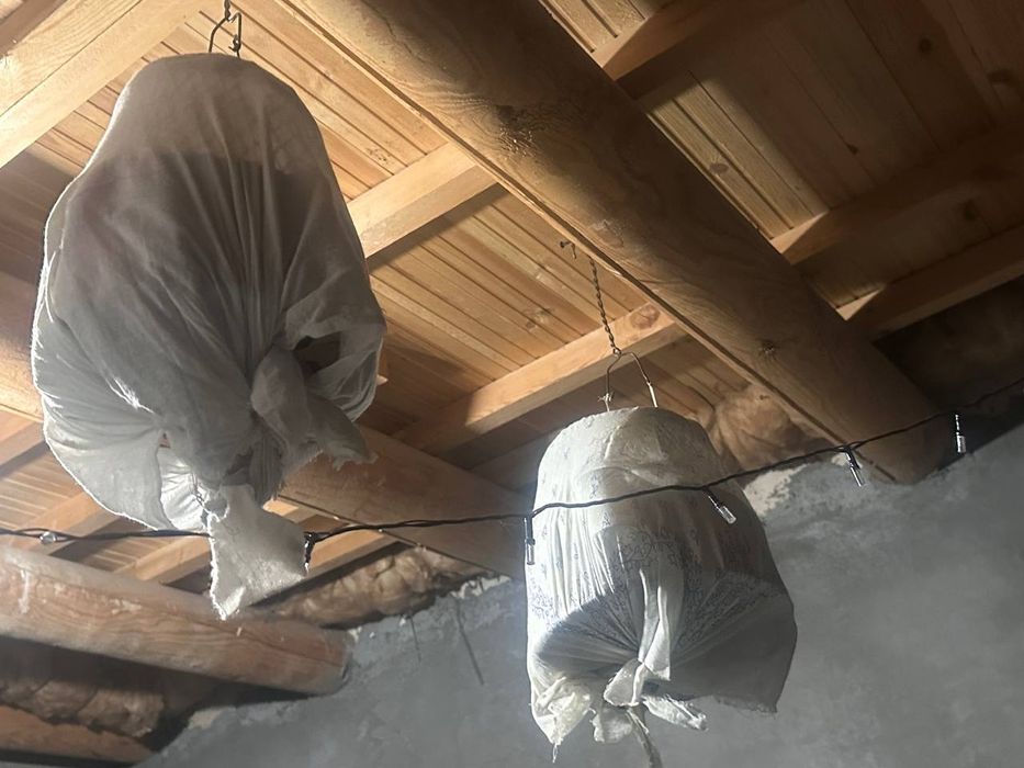 Bedanala sotiladi srochna!