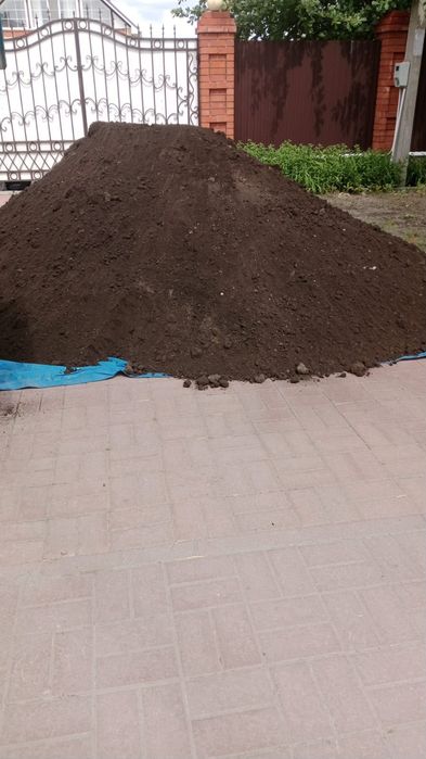 Чернозём плодородный