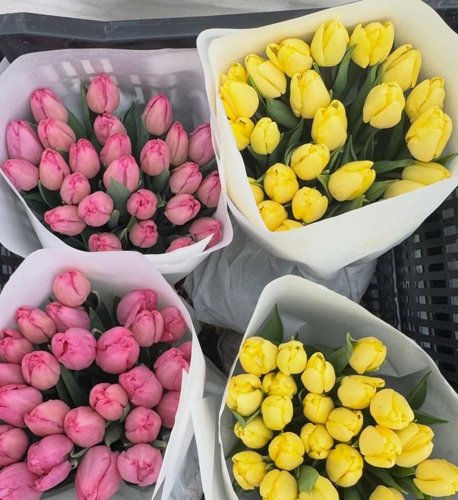 Тюльпаны свежие 25шт банч