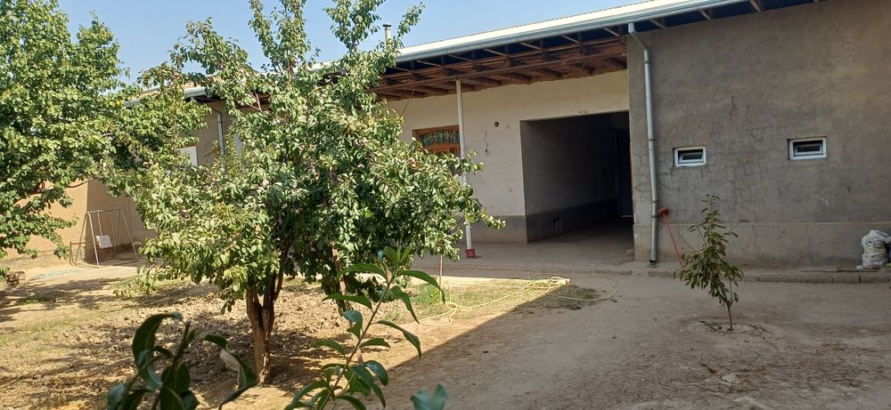 Жой сотилади , Ташми 16 йиллик