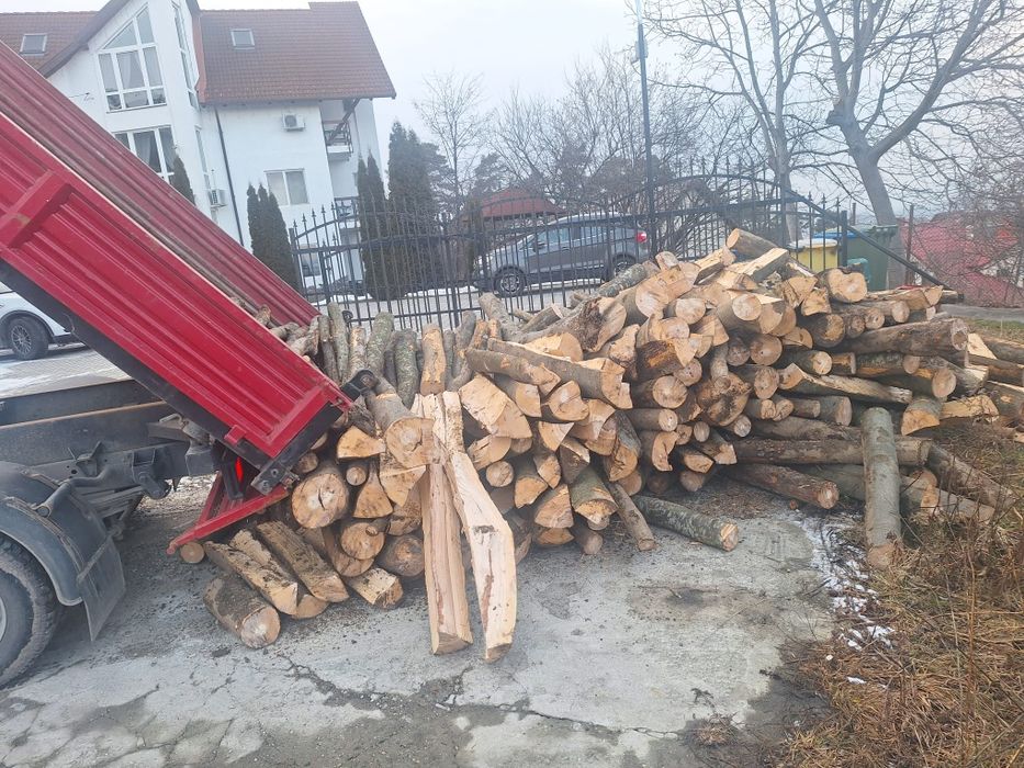 Lemn de foc fag fasonat