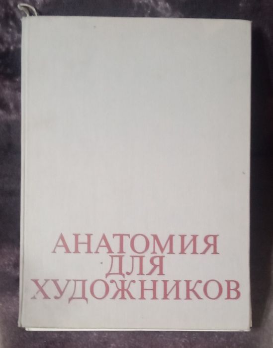 Анатомия для художников