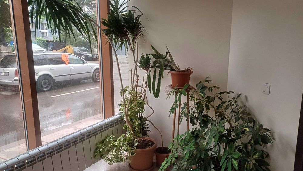 Продава се Офис в София, Оборище - 246 кв.м за 3202 €/кв.м - Снимка #12