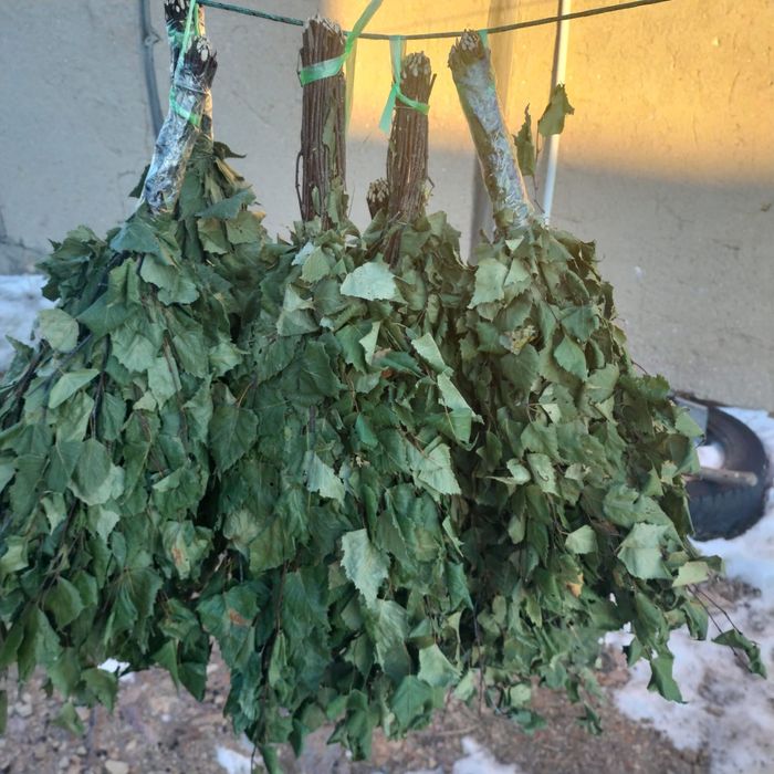 Продам березовые веники