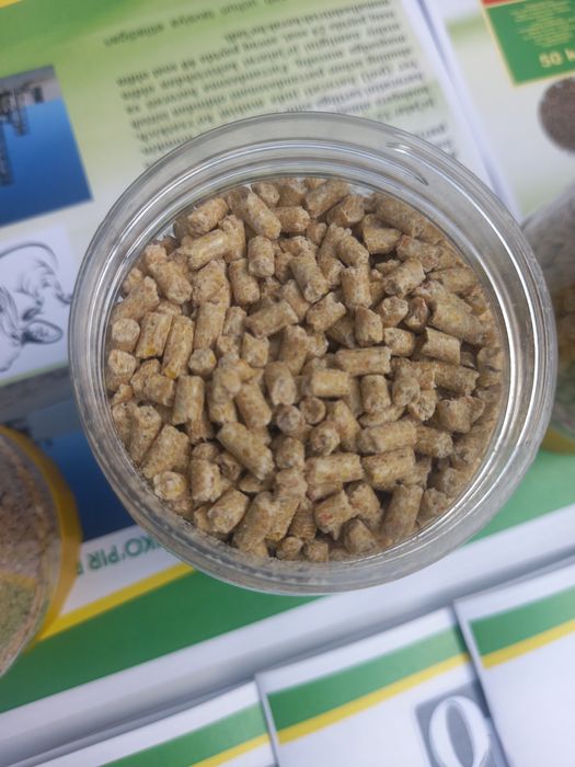 Qo'shko'pir parranda omuxta yem