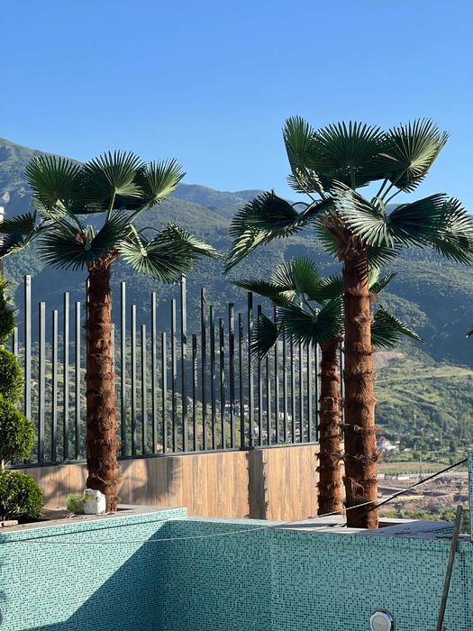 Эко пальмы собственного производства | атмосфера тропиков | скидка 30%