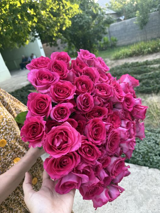 65 роза свежий букет