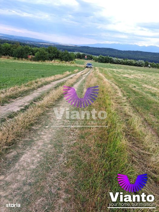 Oportunitate-Teren Extravilan 3100 mp cu vedere Panoramica-Tropinii No