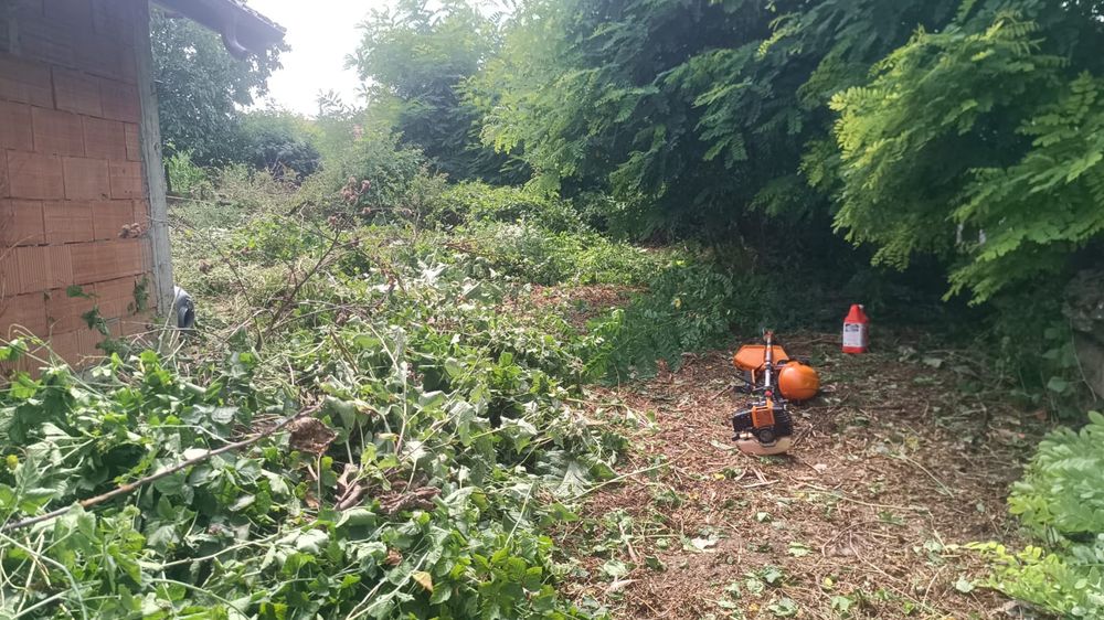 Taiat tuns  Iarba Defrișari Gradinarit Mentenanta Spatii Verzi