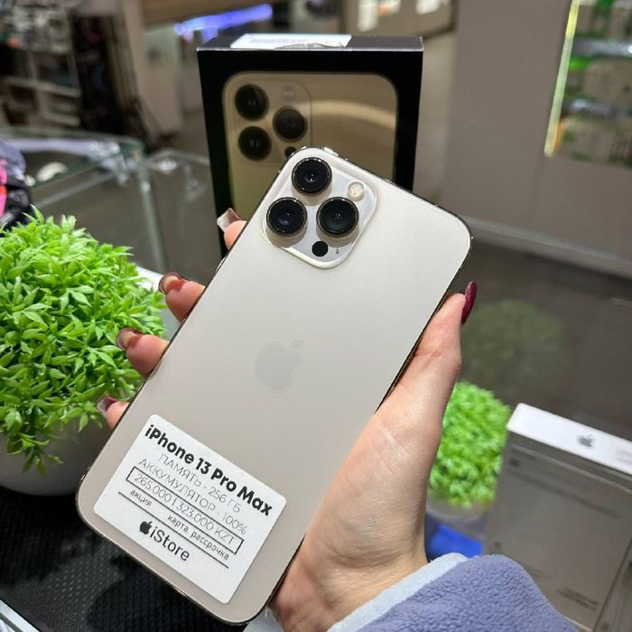 iPhone 13 Pro Max 256gb 100% | iStore
