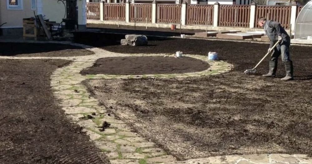 Газон под ключ !любые обемы