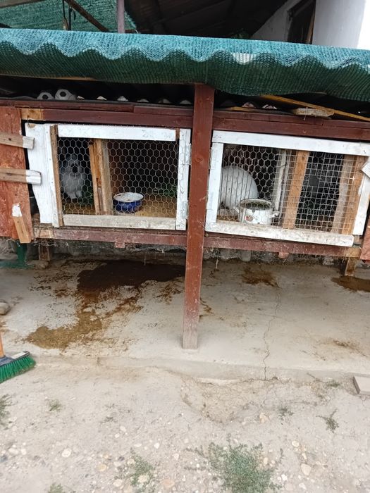 Vând cuști pentru iepuri!!