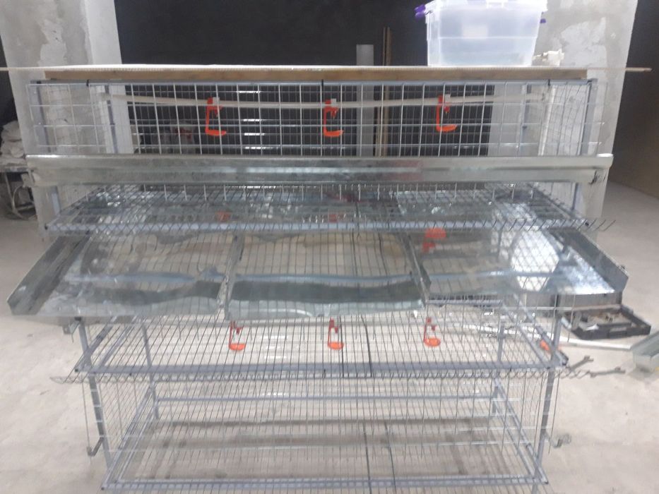 Клетка для кур.  .