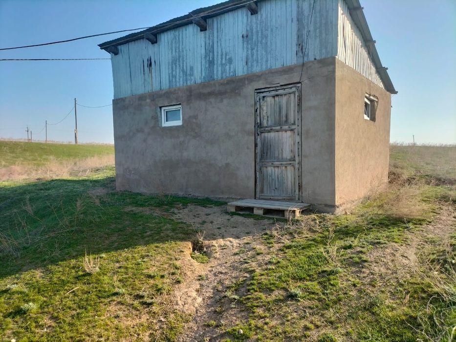 Фазенда, кашара 200га