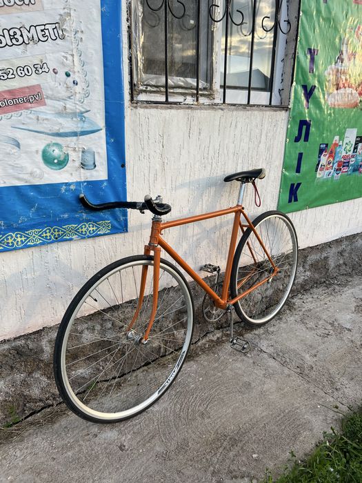 Хвз синглспид