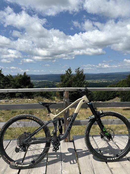 Cube stereo 170 race 29 L (MTB Enduro)