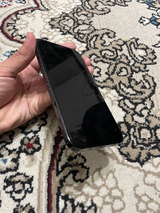 iPhone 12 pro max