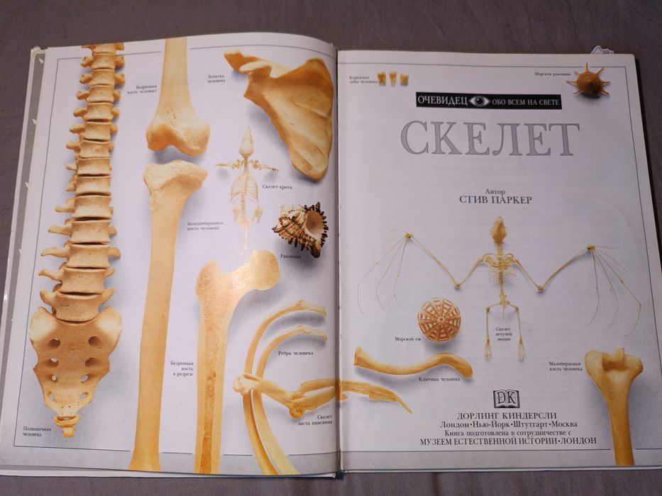 Книга о скелетах