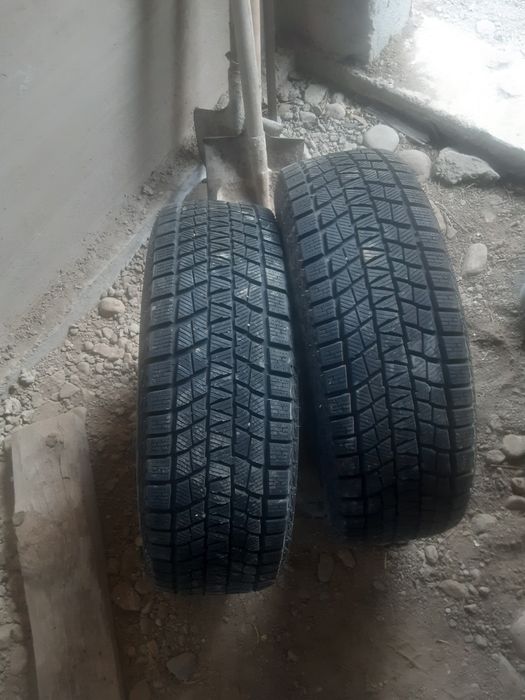 Ризина сатылады зимний