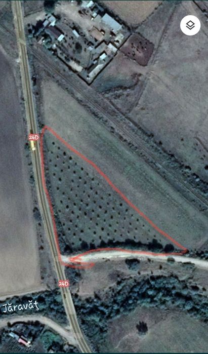 Teren cu livadă de nuci