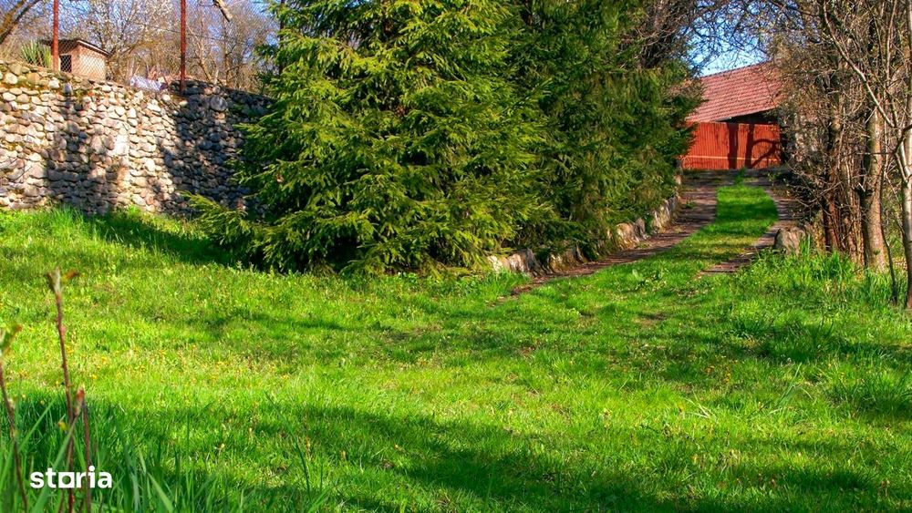 Domeniu exclusivist cu izvor propriu – Cheile Turzii / Munții Apuseni