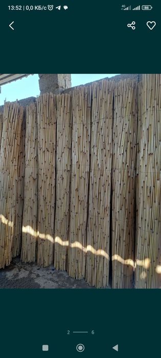 Камыш сотилади...