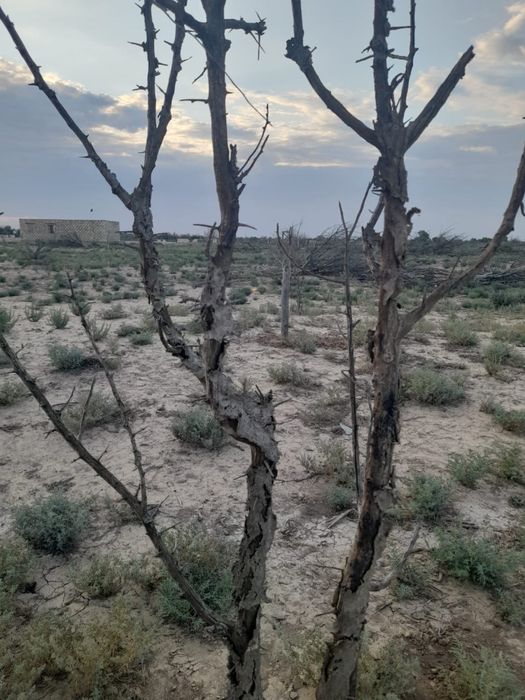 Продается дача в районе Талгайран.