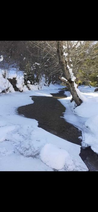 Teren intravilan Plaiul Foii